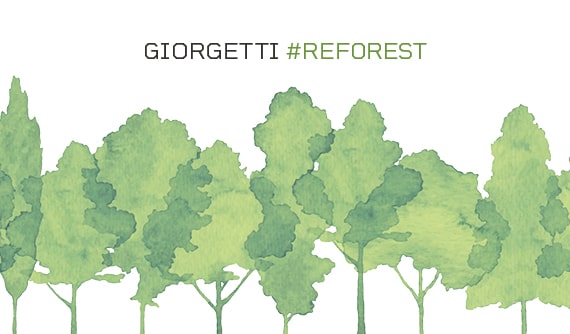 AL VIA IL PROGETTO #REFOREST DEL GRUPPO GIORGETTI