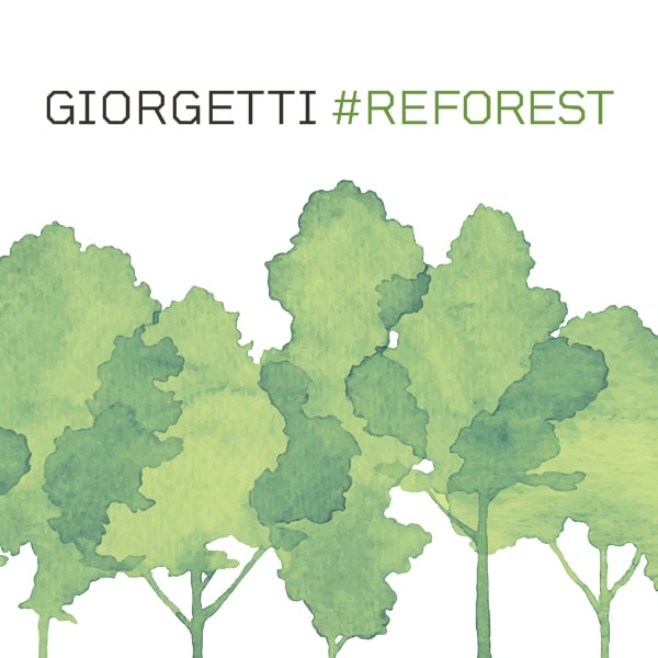 THE GIORGETTI GROUP'S #REFOREST PROJECT COMES TO LIFE